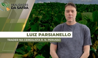 Luiz Parsianello - Trader na Cerealista R. N. Perusso