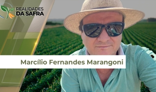 Marcílio Fernandes Marangoni - Engenheiro Agrônomo de Darcinópolis - TO