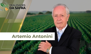 Artemio Antonini - Presidente do Sindicato Rural de Nova Xavantina/MT