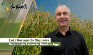 Luiz Fernando Siqueira - Gerente da Extensão Rural do Irga
