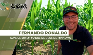 Fernando Ronaldo - Consultor Técnico de Vendas em Madre de Deus de Minas/MG