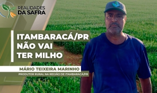 Mário Teixeira Marinho Neto - Produtor Rural na Região de Itambaracá/PR