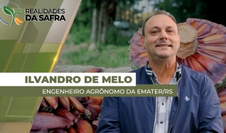 Ilvandro Barreto de Melo - Engenheiro Agrônomo da Emater/RS