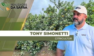 Tony Simonetti - Citricultor