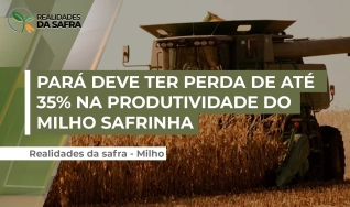 Carlos Adelino Noimann - Vice-Presidente da Aprosoja PA