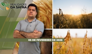 Realidades da Safra - Notícias Agrícolas