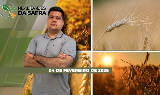 Realidades da Safra - Notícias Agrícolas