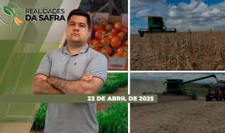 Realidades da Safra - Notícias Agrícolas