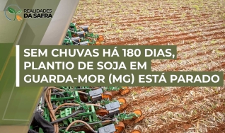 Tiago Machado - Produtor Rural na região de Guarda-Mor/MG