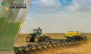 Ricardo Minoro - Diretor Técnico Comercial da Fazenda Quilombo