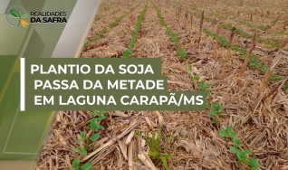 Antônio Rodrigues Neto - Técnico Agrícola da Casa da Lavoura de Dourados