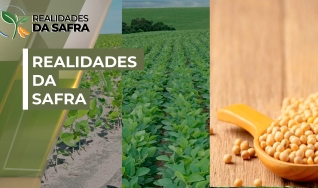 Realidades da Safra