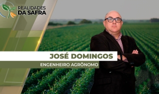 José Domingos Teixeira - Engenheiro agrônomo - Gerente Unidade Agrícola, Barra do Garças/MT