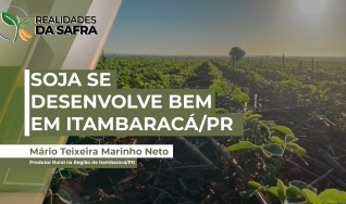 Mário Teixeira Marinho Neto - Produtor Rural na Região de Itambaracá/PR