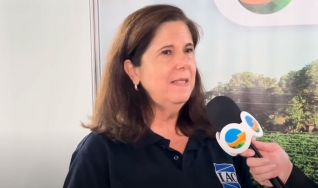 Regina Matos Pires - Pesquisadora do IAC