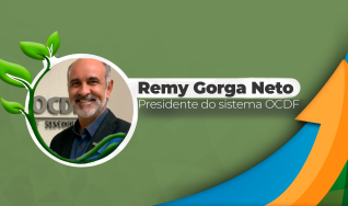 Remy Gorga Neto