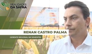 Renan Castro Palma