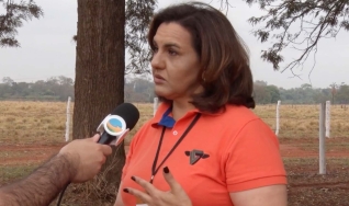Renata Branco – Pesquisadora do Instituto de Zootecnia