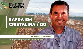 Renato Caetano - Engenheiro Agrônomo de Cristalina / GO