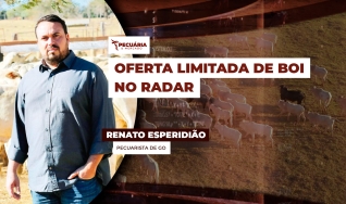 Renato Esperidião - Pecuarista