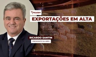 Ricardo Santin - Presidente da ABPA