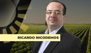 Ricardo Nicodemos
