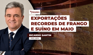 Ricardo Santin - Presidente da ABPA