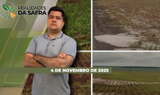 Realidades da Safra - Notícias Agrícolas