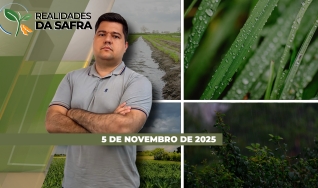 Realidades da Safra - Notícias Agrícolas
