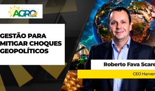 Roberto Fava Scare - CEO Harven