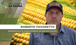 Roberto Favaretto