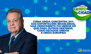 China ainda concentra 34% das exportações brasileiras, mas crescimento foi menor do que para outros destinos, como Estados Unidos e União Europeia
