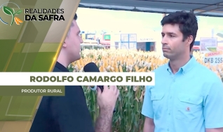 rodolfo camargo filho