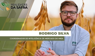 Rodrigo Silva - Coordenador de inteligência de mercado do Imea