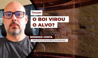 Rodrigo Costa - Analista de Inteligência de Mercado