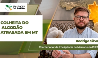 Rodrigo Silva - Coordenador de Inteligência de Mercado do IMEA