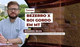 Rodrigo Silva - Coordenador de inteligência de mercado do Imea