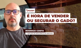 Rodrigo Costa - Analista de Inteligência de Mercado