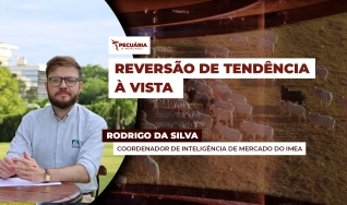 Rodrigo da Silva - Coordenador de Inteligencia de Mercado do IMEA