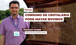 Rodrigo Gomes - Especialista em Nutrição Animal