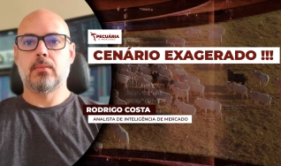Rodrigo Costa - Analista de Inteligência de Mercado