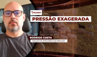 Rodrigo Costa - Analista de Inteligência de Mercado