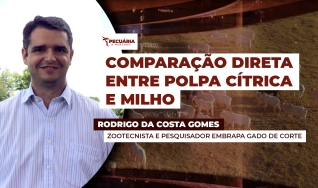 Rodrigo da Costa Gomes - Zootecnista e Pesquisador Embrapa Gado de Corte