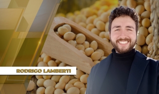 Rodrigo Lamberti - Especialista em Gestão de Riscos para Grãos da Hedgepoint