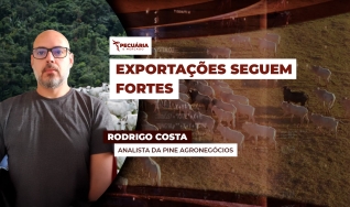Rodrigo Costa - Analista da PINE Agronegócios e Contribuidor no TC Investimentos