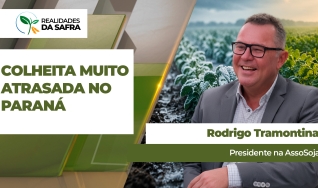 Rodrigo Tramontina - Presidente na AssoSoja