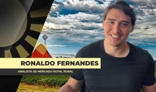 Ronaldo Fernandes - Analista de Mercado Royal Rural