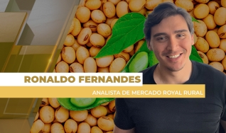Ronaldo Fernandes - Analista de Mercado Royal Rural
