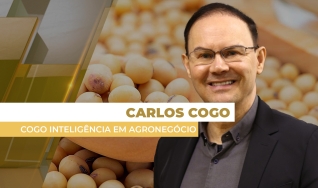 Carlos Cogo - Cogo Inteligência em Agronegócio