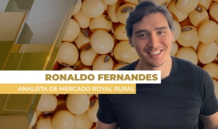 Ronaldo Fernandes - Analista de Mercado Royal Rural
